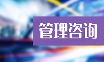 【deepseek+知识管理】管理咨询行业